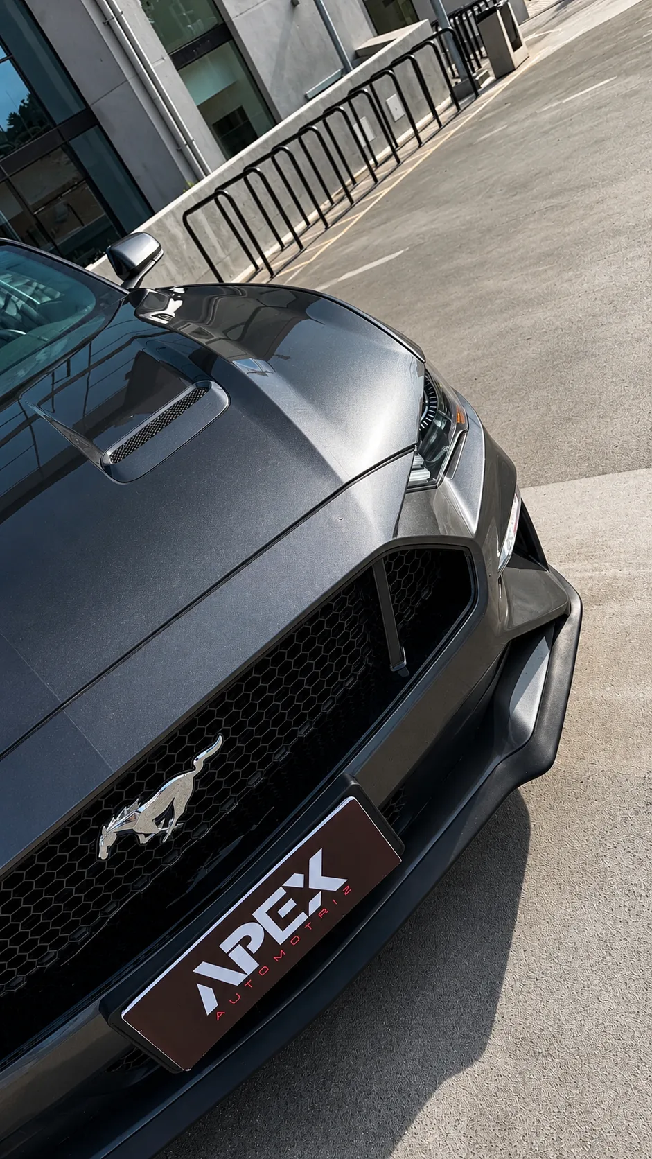 Ford Mustang — foto 2 de 14