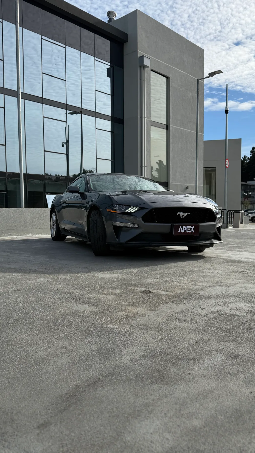 Ford Mustang — foto 11 de 14