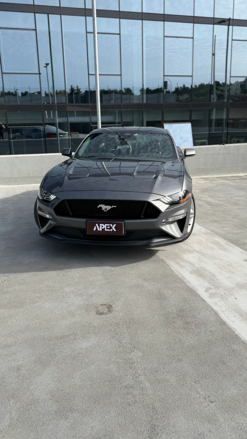 Ford Mustang — foto 3 de 14