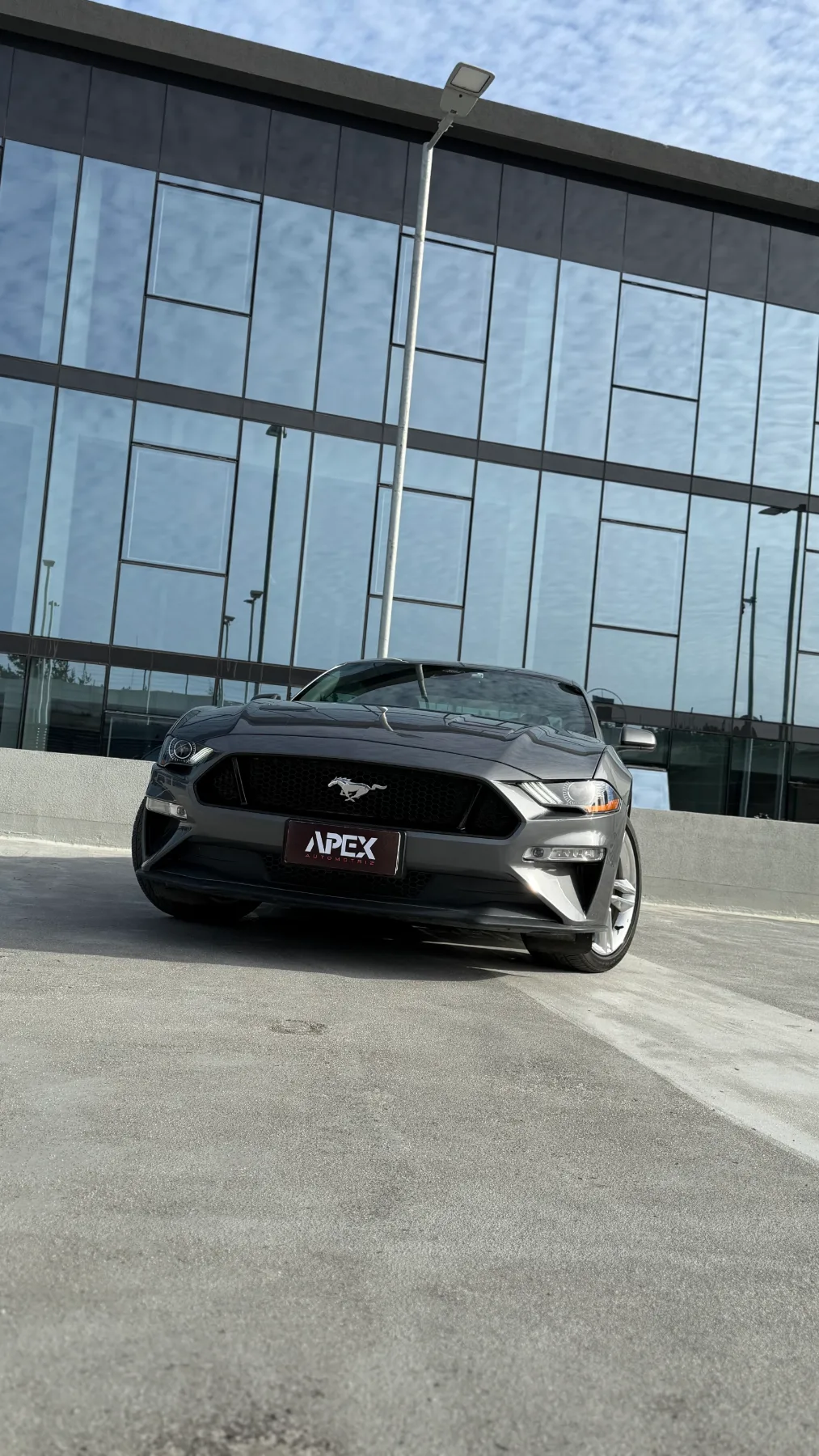 Ford Mustang — foto 4 de 14
