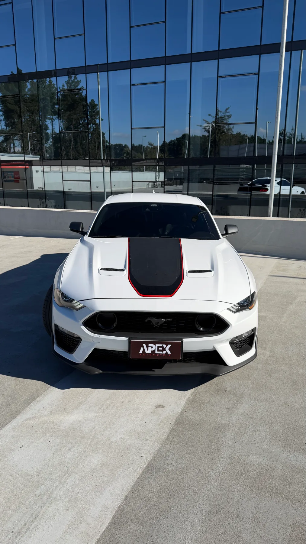 Ford Mustang Mach1 — foto 7 de 11
