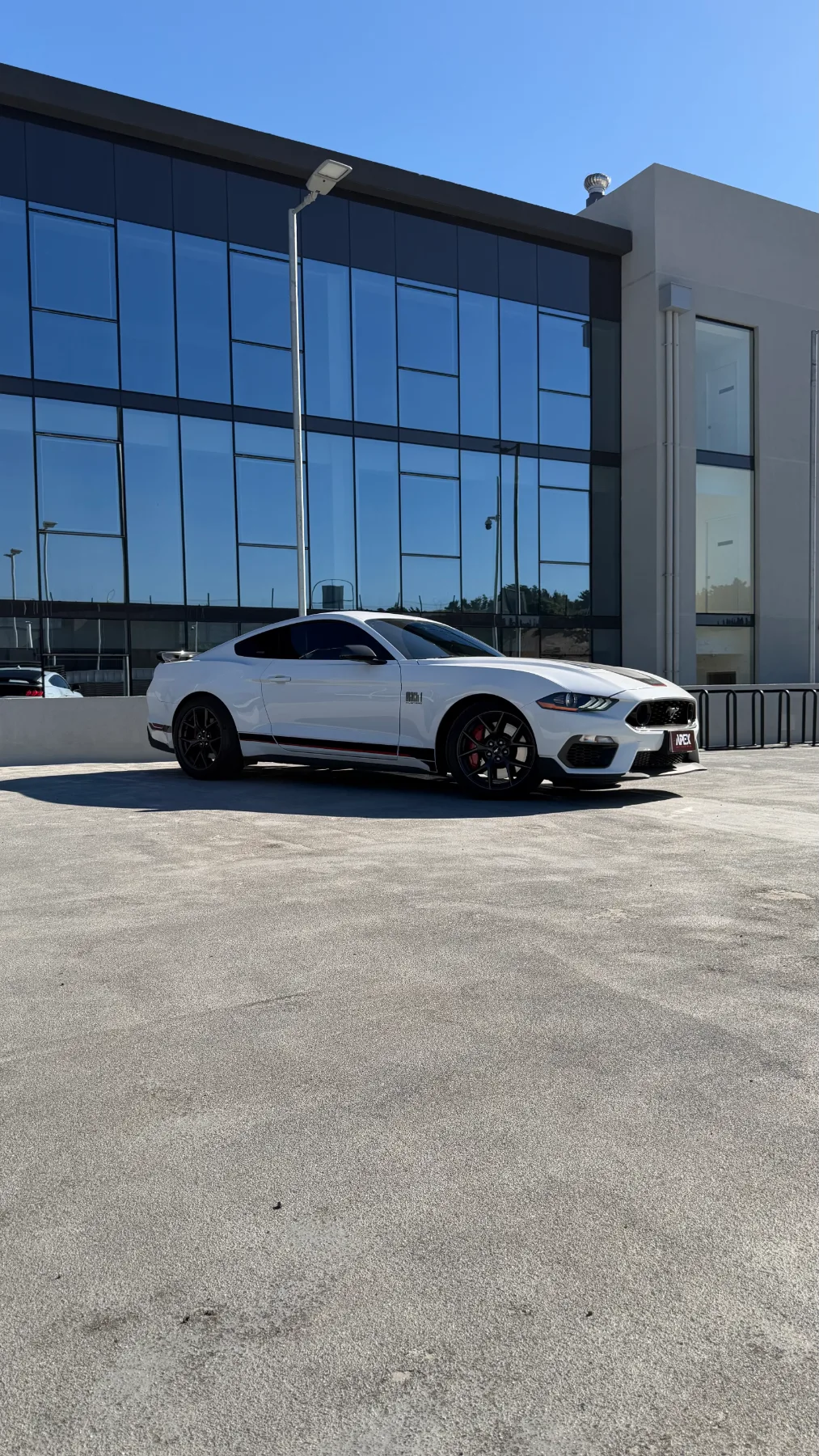 Ford Mustang Mach1 — foto 9 de 11