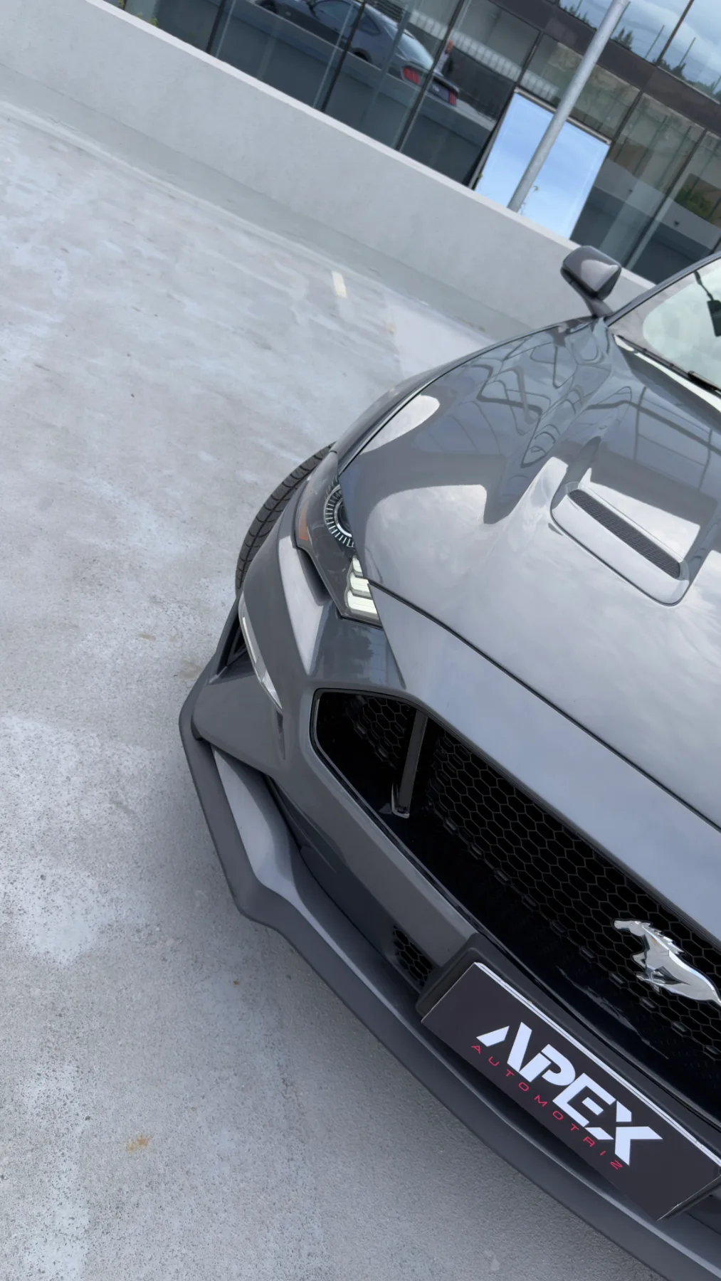 Ford Mustang — foto 6 de 11